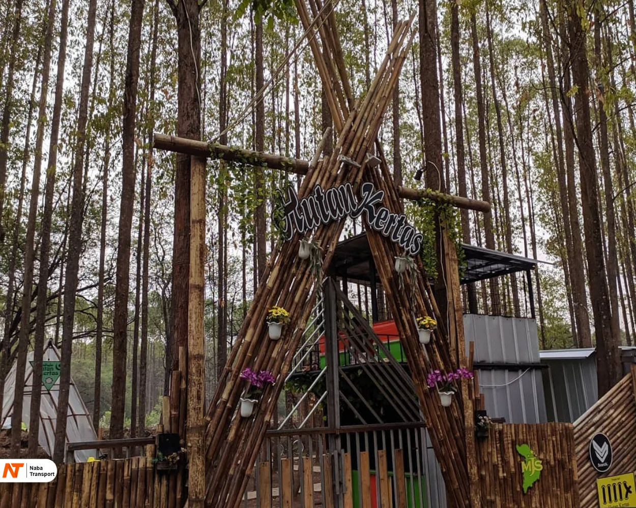 Hutan Kertas
