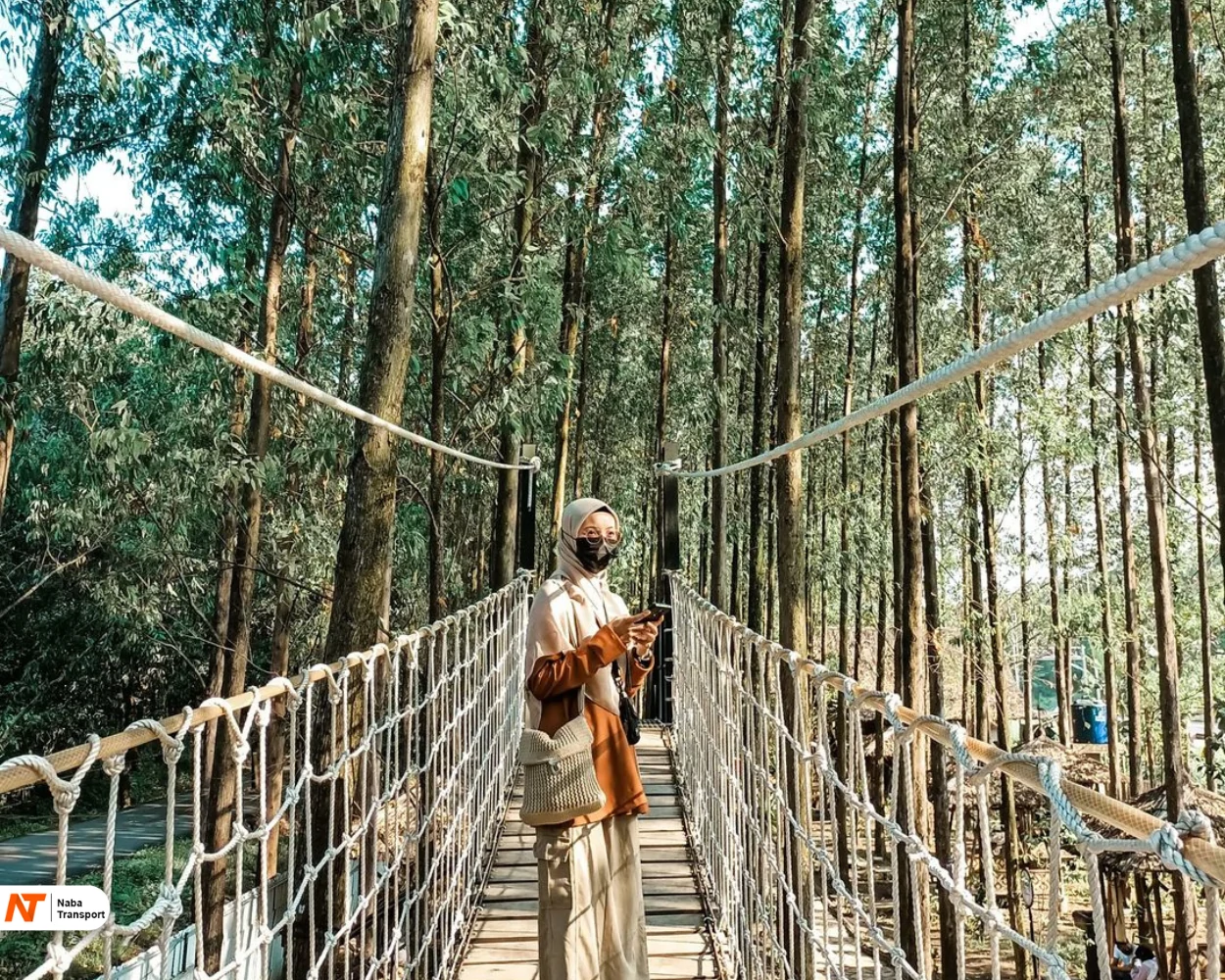 Hutan Kertas