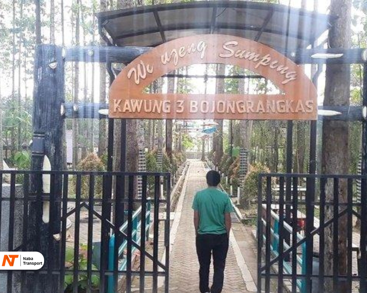 Hutan Pinus Edukasi Cikarang