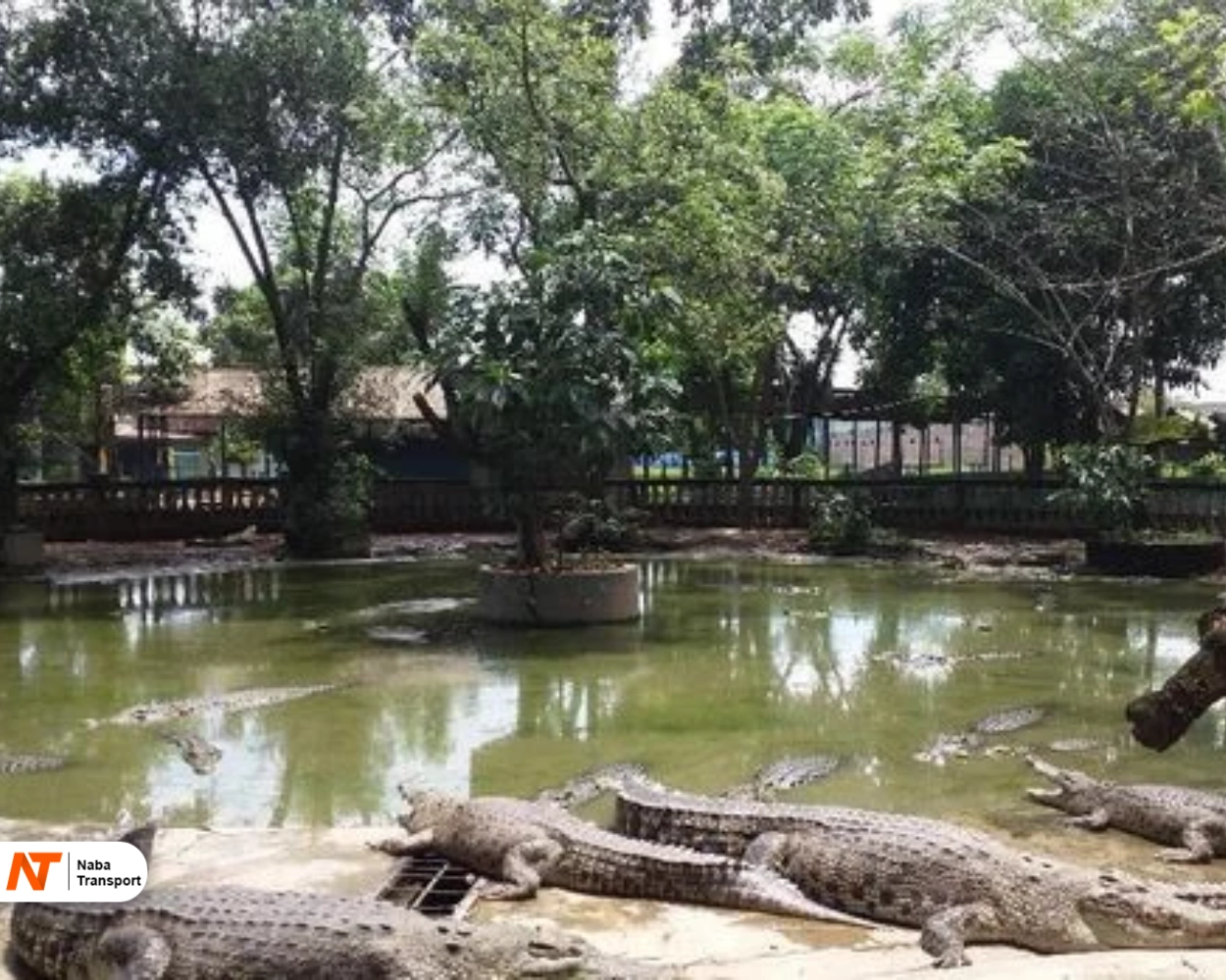 Taman buaya indonesia jaya