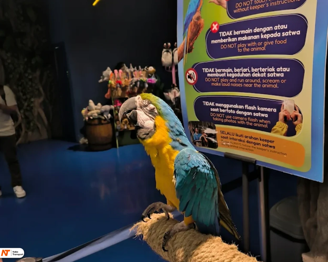 Jakarta Aquarium