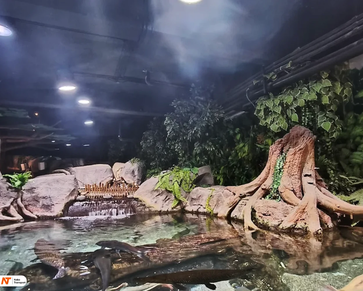 Jakarta Aquarium