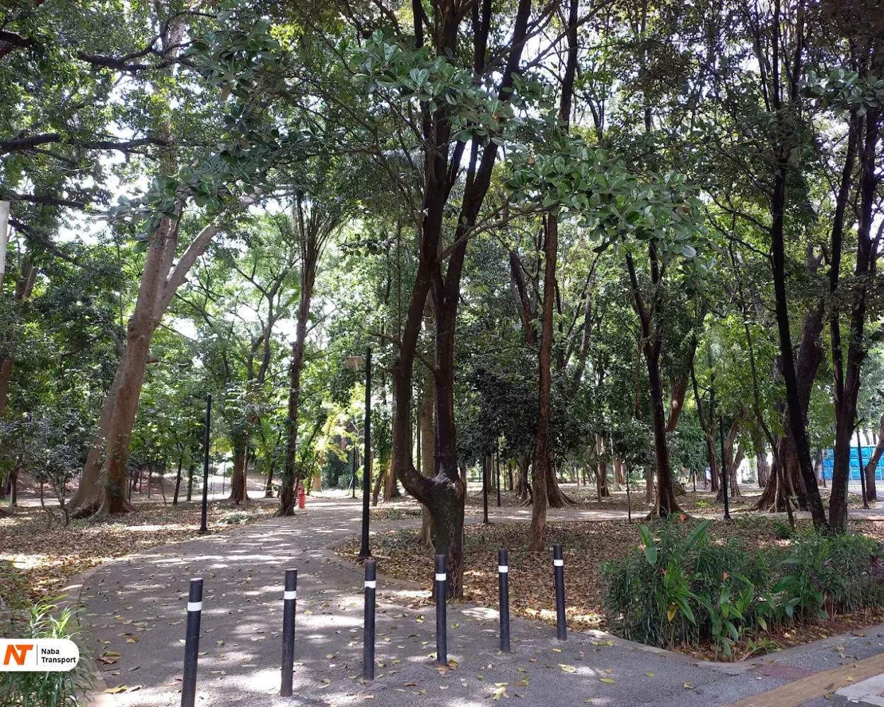 hutan kota gbk