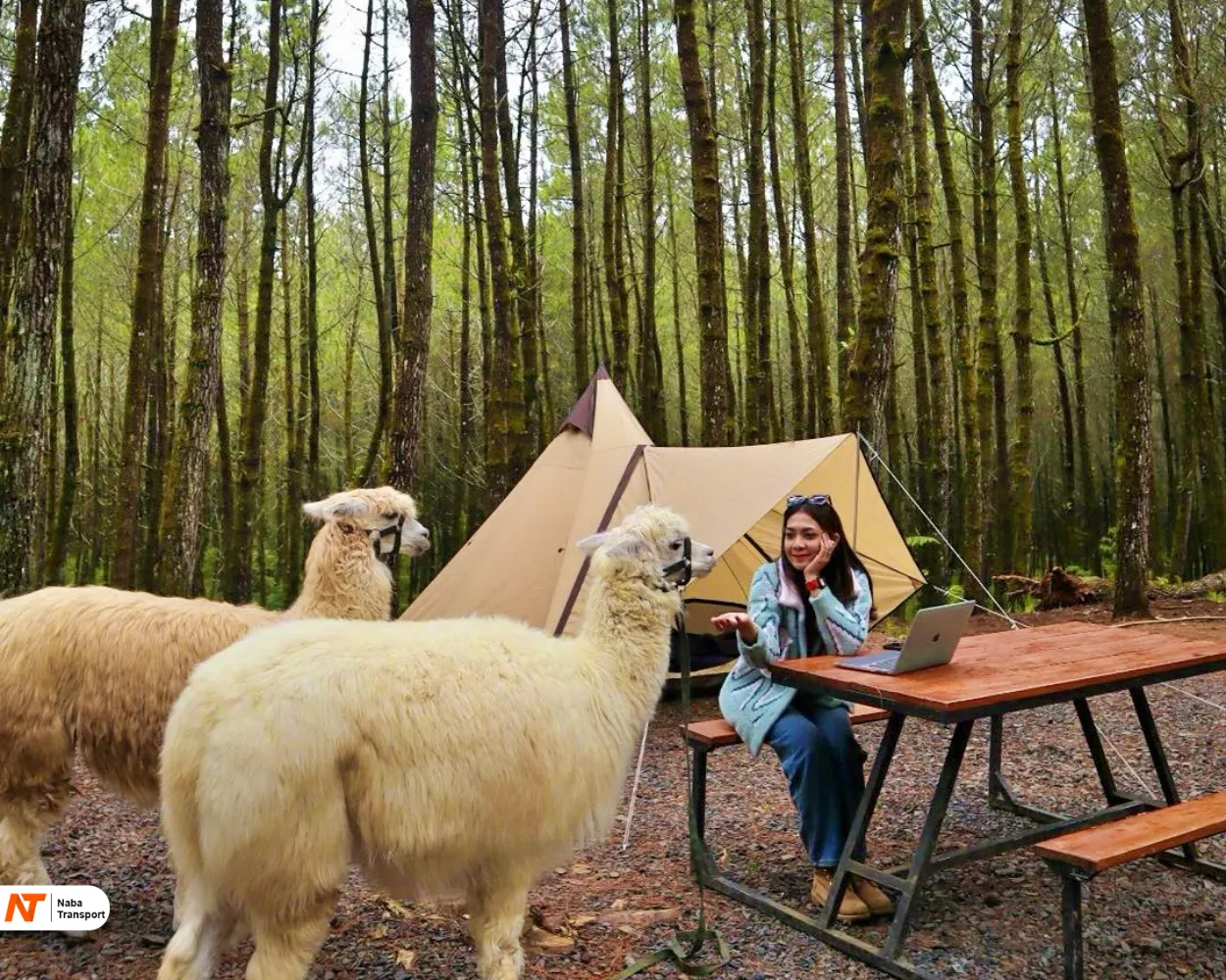 Glamping Bandung