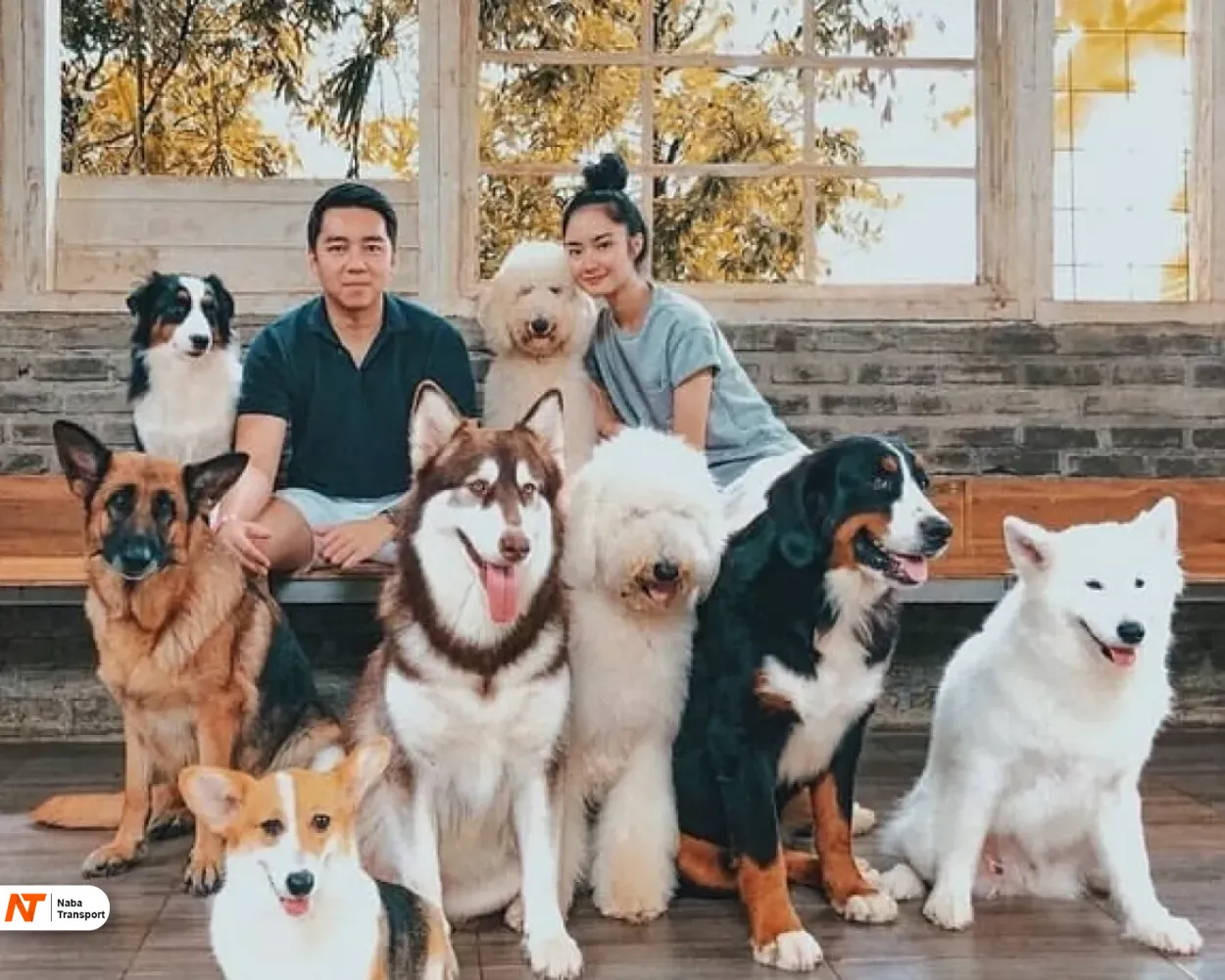 Rumah Guguk Petshop Bandung