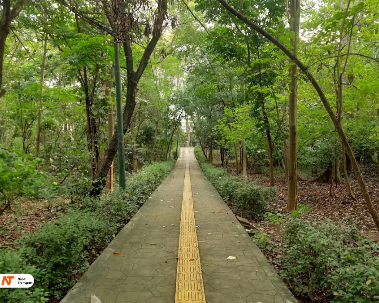 Hutan Kota Srengseng
