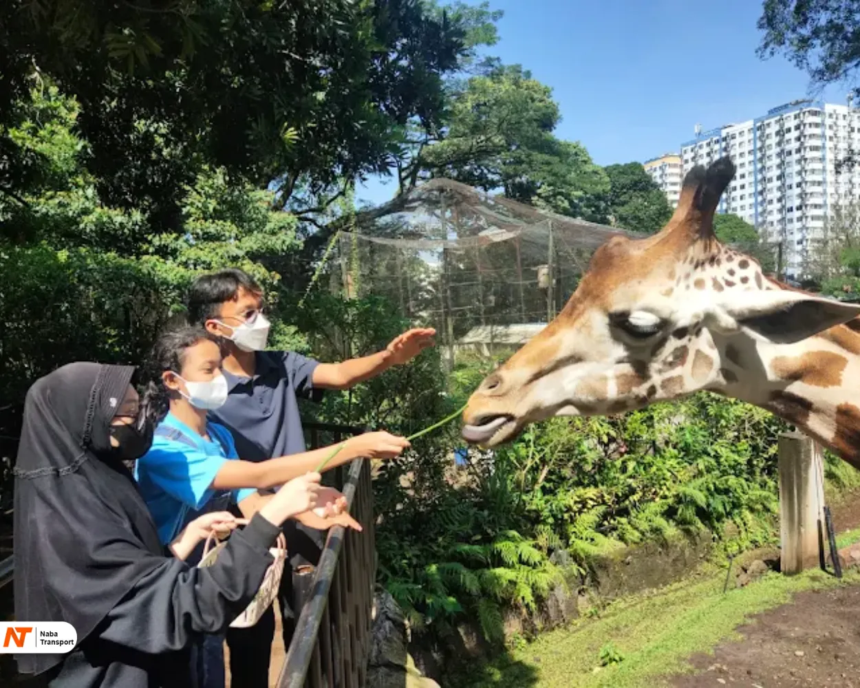 Kebun Binatang Bandung Kebun Binatang Bandung