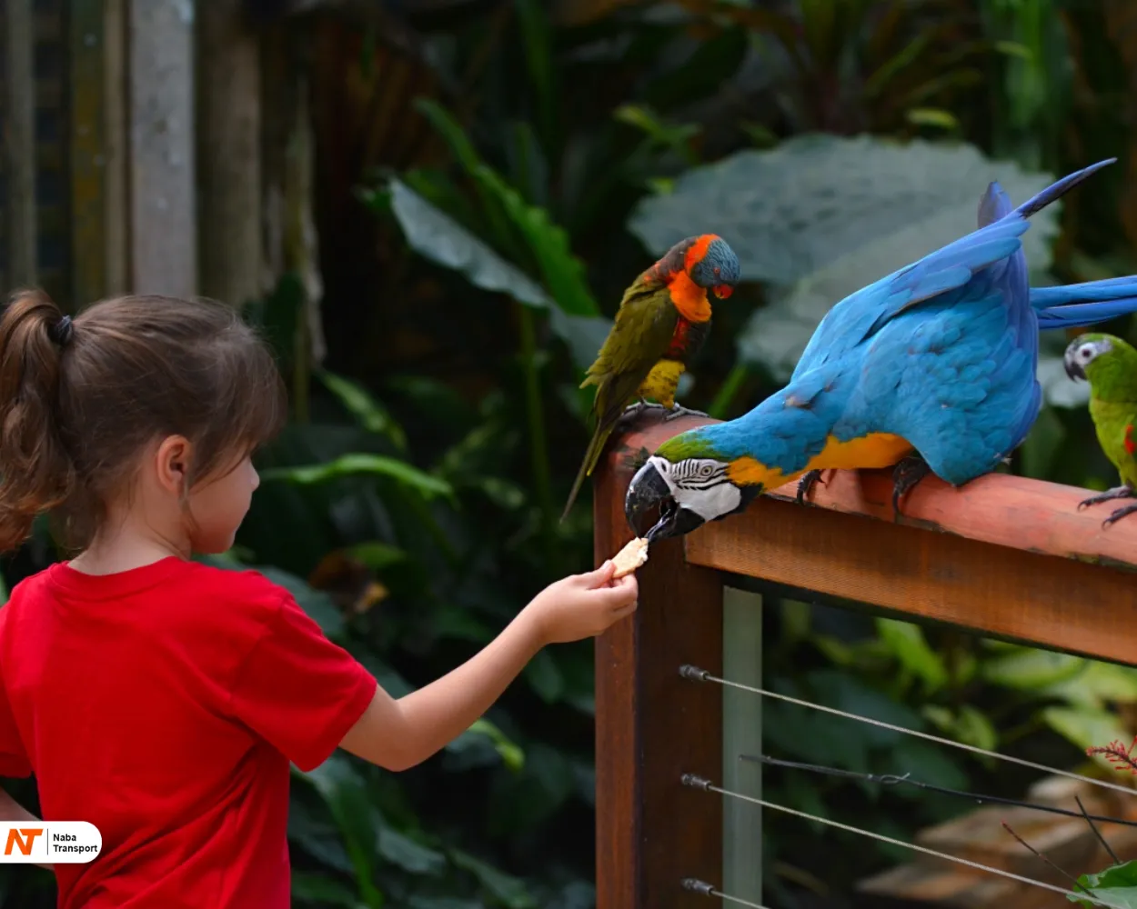 Lembang Park Zoo