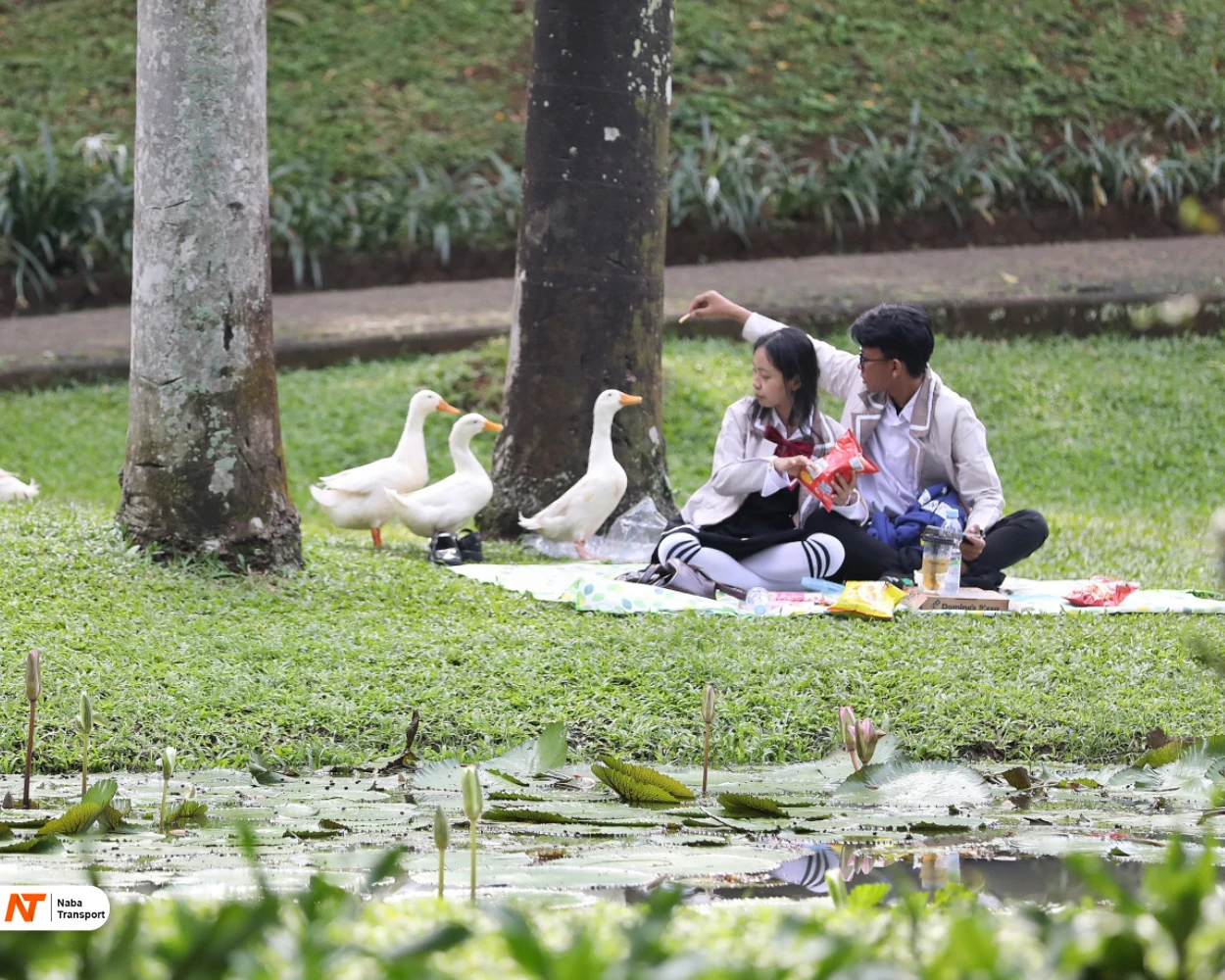 Piknik Taman Langsat