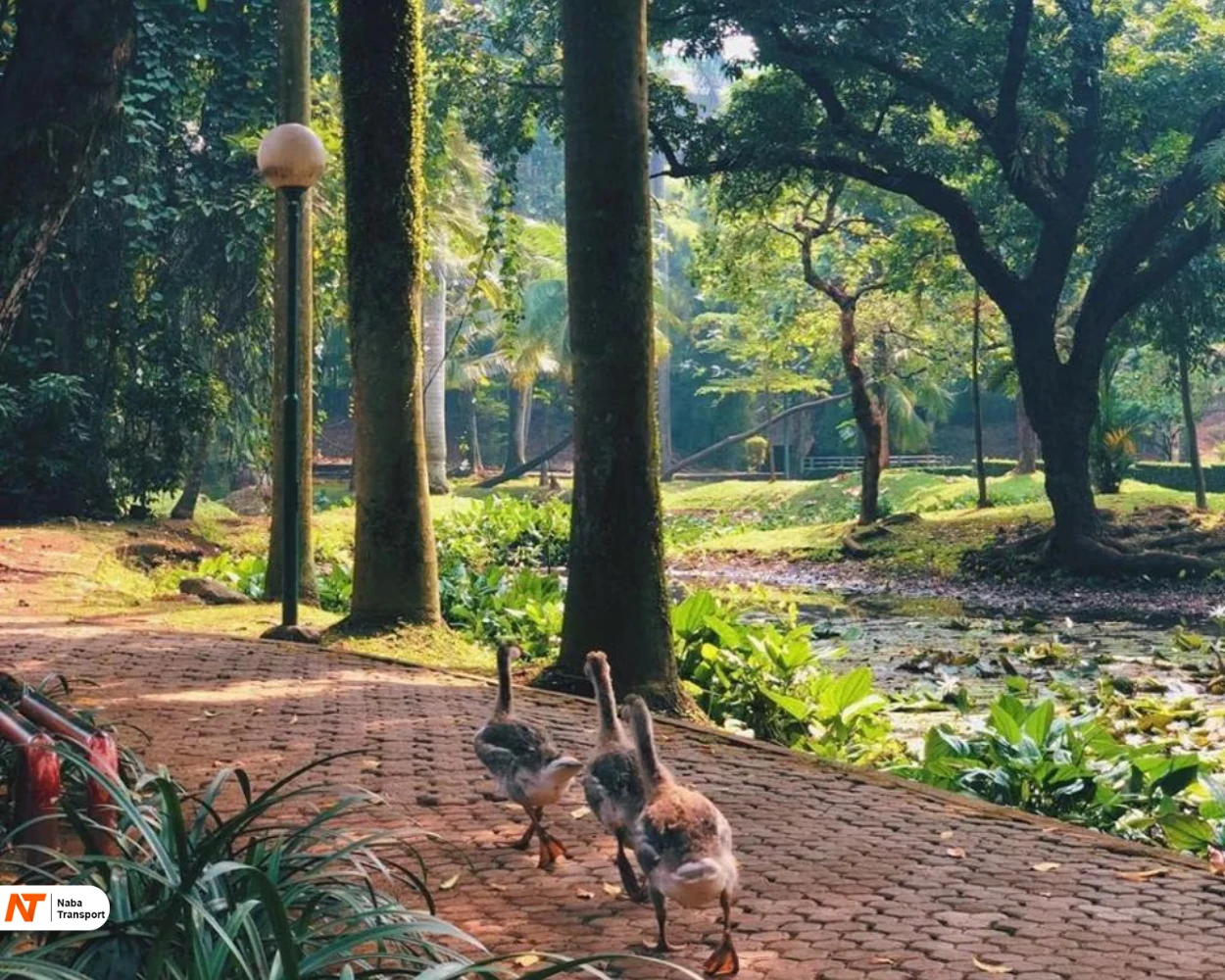 Taman Langsat