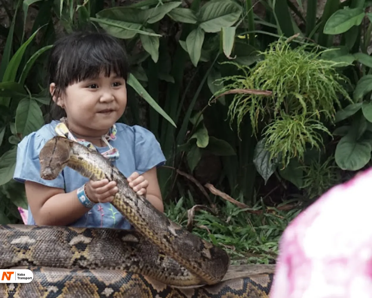 Kebun Binatang Bandung Kebun Binatang Bandung