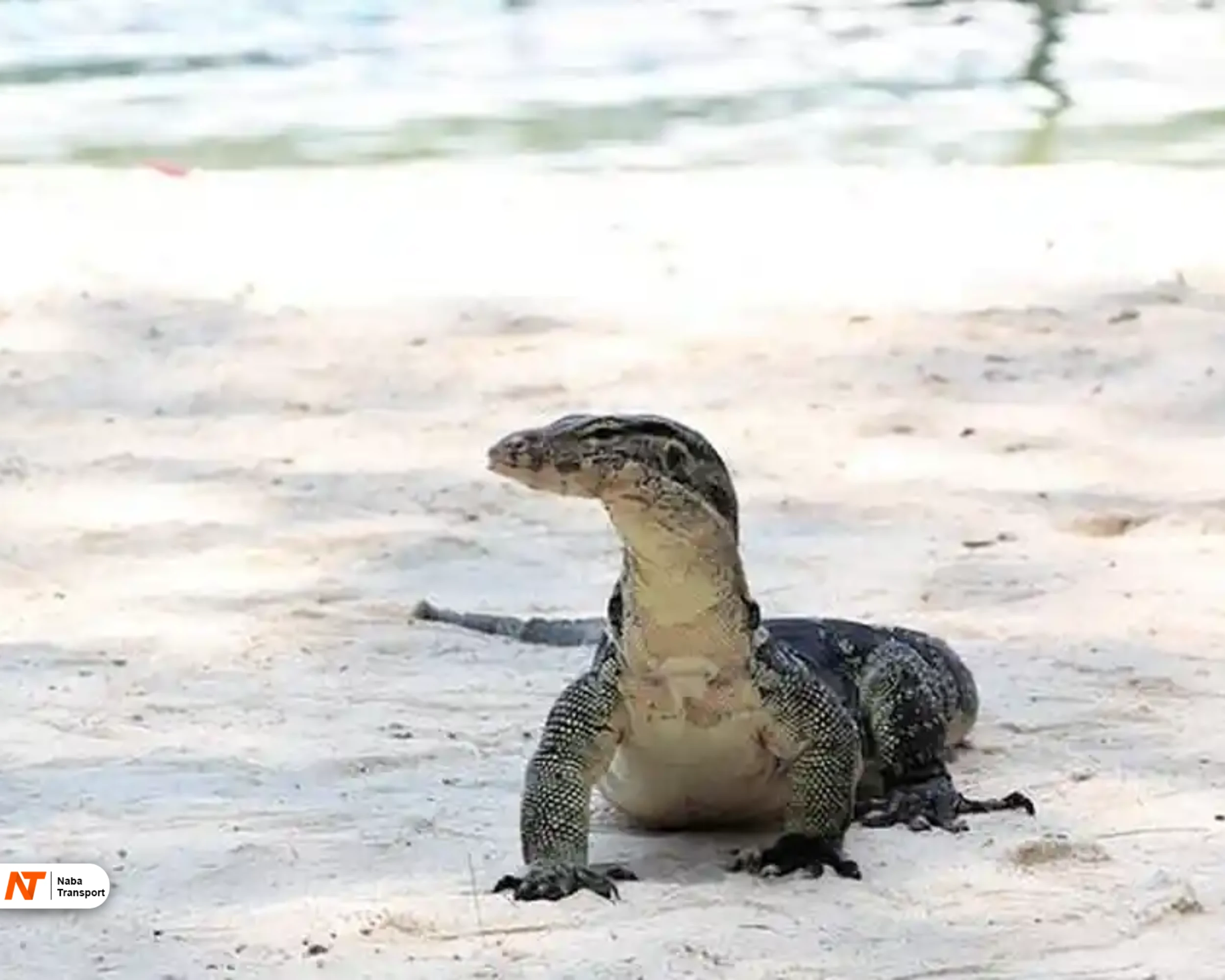Pulau Biawak Indramayu